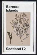Bernera 1982 Plants #1 imperf deluxe sheet (£2 value) unmounted mint