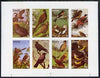 Eynhallow 1977 Birds #01 imperf set of 8 values complete (1p to 40p) unmounted mint