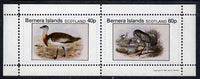 Bernera 1981 Ducks #3 perf,set of 2 values (40p & 60p) unmounted mint