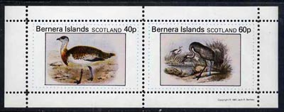 Bernera 1981 Ducks #3 perf,set of 2 values (40p & 60p) unmounted mint