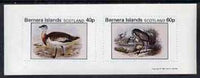 Bernera 1981 Ducks #3 imperf,set of 2 values (40p & 60p) unmounted mint