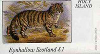 Eynhallow 1982 Animals #08 (Wild Cat) imperf souvenir sheet (£1 value) unmounted mint