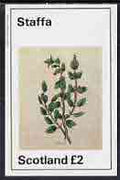 Staffa 1982 Plants #01 (Balm) imperf,deluxe sheet (£2 value) unmounted mint