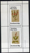 Eynhallow 1982 Plants (Winter Rocket & Savory) perf,set of 2 values (40p & 60p) unmounted mint