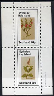 Eynhallow 1982 Plants (Winter Rocket & Savory) perf,set of 2 values (40p & 60p) unmounted mint