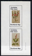 Eynhallow 1982 Plants (Winter Rocket & Savory) imperf,set of 2 values (40p & 60p) unmounted mint