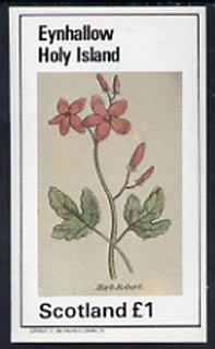 Eynhallow 1982 Plants (Herb Robert) imperf,souvenir sheet (£1 value) unmounted mint