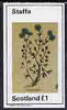 Staffa 1982 Herbs (Coriander) imperf,souvenir sheet (£1 value) unmounted mint