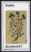 Staffa 1982 Herbs (Coriander) imperf,souvenir sheet (£1 value) unmounted mint