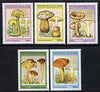 Guinea - Conakry 1995 Mushrooms complete unmounted mint set of 5 values, Mi 1568-72*