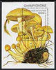 Guinea - Conakry 1995 Mushrooms unmounted mint m/sheet, Mi BL 500