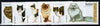Guinea - Conakry 1996 Domestic Cats complete unmounted mint set of 6 values