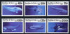 Benin 1996 Whales & Dolphins complete set of 6 unmounted mint, Mi 862-67*