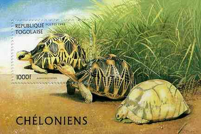 Togo 1996 Turtles unmounted mint m/sheet (1000f) Mi BL 401