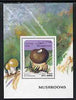 Afghanistan 1996 Mushrooms perf m/sheet (4000a) unmounted mint