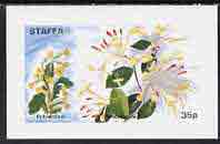 Staffa 1972 Flowers #01 - Polyanthus & Honeysuckle 35p imperf souvenir sheet unmounted mint
