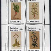 Eynhallow 1982 Vegetables (Raddish, Lettuce, etc) perf set of 4 values (10p to 75p) unmounted mint