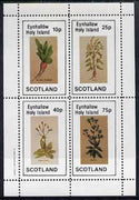 Eynhallow 1982 Vegetables (Raddish, Lettuce, etc) perf set of 4 values (10p to 75p) unmounted mint