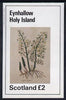 Eynhallow 1982 Vegetables (Asparagus) imperf deluxe sheet (£2 value) unmounted mint