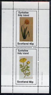 Eynhallow 1982 Flowers #07 (Daffodil & Batchellor) perf set of 2 values (40p & 60p) unmounted mint