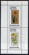 Eynhallow 1982 Flowers #07 (Daffodil & Batchellor) perf set of 2 values (40p & 60p) unmounted mint