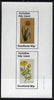 Eynhallow 1982 Flowers #07 (Daffodil & Batchellor) imperf set of 2 values (40p & 60p) unmounted mint