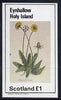 Eynhallow 1982 Flowers #07 (Dandelion) imperf souvenir sheet (£1 value) unmounted mint