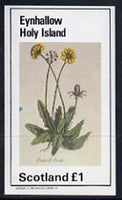 Eynhallow 1982 Flowers #07 (Dandelion) imperf souvenir sheet (£1 value) unmounted mint