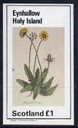 Eynhallow 1982 Flowers #07 (Dandelion) imperf souvenir sheet (£1 value) unmounted mint