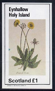 Eynhallow 1982 Flowers #07 (Dandelion) imperf souvenir sheet (£1 value) unmounted mint