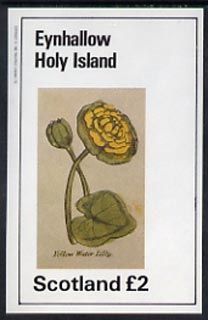 Eynhallow 1982 Flowers #07 (Water Lily) imperf deluxe sheet (£2 value) unmounted mint
