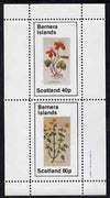 Bernera 1982 Violets (Scarlet V & Yellow V) perf set of 2 values (40p & 60p) unmounted mint