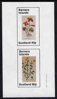 Bernera 1982 Violets (Scarlet V & Yellow V) imperf set of 2 values (40p & 60p) unmounted mint