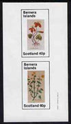 Bernera 1982 Violets (Scarlet V & Yellow V) imperf set of 2 values (40p & 60p) unmounted mint