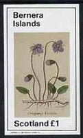 Bernera 1982 Violets (Creeping V) imperf souvenir sheet (£1 value) unmounted mint
