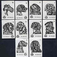 Match Box Labels - complete set of 10 Dogs (set #1 white background) very fine unused condition (Yugoslavian Drava series)