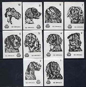 Match Box Labels - complete set of 10 Dogs (set #1 white background) very fine unused condition (Yugoslavian Drava series)