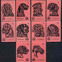 Match Box Labels - complete set of 10 Dogs (set #6 salmon background) very fine unused condition (Yugoslavian Drava series)