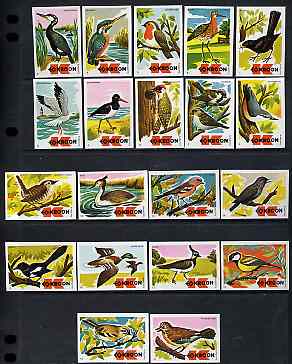 Match Box Labels - complete set of 20 Birds (issued 1973) superb unused condition (Dutch Kroon series)