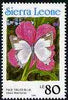 Sierra Leone 1991 Butterflies 80L (Stugeta marmorea) with country name in blue P14 unmounted mint, SG 1670