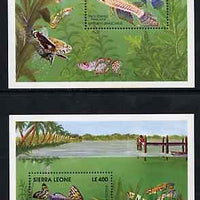 Sierra Leone 1991 Fishes set of 2 m/sheets unmounted mint, SG MS 1621