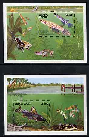 Sierra Leone 1991 Fishes set of 2 m/sheets unmounted mint, SG MS 1621