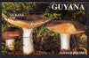 Guyana 1988 Mushrooms $360 m/sheet (Russula integra) very fine cto used