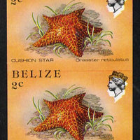Belize 1984-88 Cushion Star 2c def in unmounted mint imperf pair showing superb 2mm shift of black (as SG 767) very fine double variety