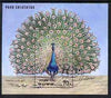 North Korea 1990 Peafowl m/sheet (Peacock) SG MS N2960 very fine cto used