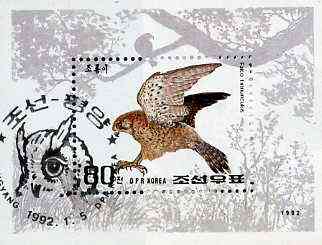 North Korea 1992 Birds of Prey m/sheet (Kestrel) SG MS N3117 very fine cto used