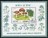 North Korea 1989 Fungi & Fruit 1wn m/sheet very fine cto used, SG MS N2859