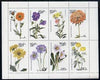 Oman 1977 Flowers (Viola, Scabiosa etc) perf,set of 8 values (1b to 30b) unmounted mint