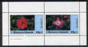Bernera 1982 Flowers #06 perf,set of 2 values (40p & 60p) unmounted mint