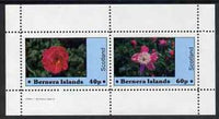 Bernera 1982 Flowers #06 perf,set of 2 values (40p & 60p) unmounted mint